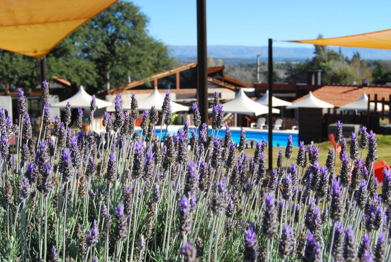 Lodge Loma Azul Villa General Belgrano
